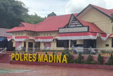 Jaringan Ganja 48,5 Kg Digulung di Madina, Enam Pelaku Terancam Pidana
