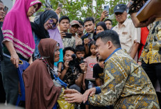 Diterjang Hujan Deras dan Angin Kencang, 316 Rumah di Medan Rusak