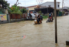 Diduga Pemicu Banjir Gang Abidin, DPD RI Tinjau Izin Bronjong Pabrik