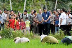 Bobby Nasution Dorong Solusi Harga Pupuk dan Perbaikan Irigasi untuk Petani Nias