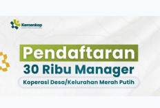 Peluang Karir Besar: Pemerintah Cari 30.000 Manajer Koperasi Desa Merah Putih