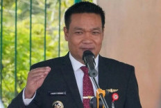 Alasan Fokus Kerja, Bupati Humbahas dan Bupati Taput Kompak Mundur dari Jabatan Ketua Partai