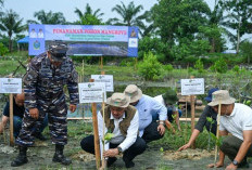 Pemprov Sumut Siapkan Penanaman Mangrove 27 Hektare, Jadi Andalan Hadapi Perubahan Iklim