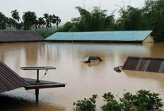 Cuaca Ekstrem Terjang Taput: 117 Rumah di Tarutung dan Sipoholon Terdampak Banjir serta Longsor