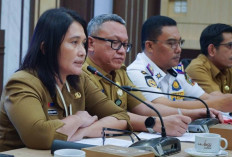 Ribuan Pohon Terdampak Proyek BRT Pemkot Medan Pastikan Batang Kayu Bakal Dilelang