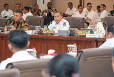 Pemprov Sumut, ESDM dan PLN Perkuat Program Lisdes, Kejar Rasio Elektrifikasi 100 Persen