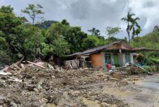 Bencana di Taput: Empat Desa Masih Terisolasi Total, Bantuan Disalurkan Via Udara