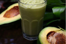Lawan Kolesterol Usai Pesta: Jus Alpukat Jadi Solusi Alami Paling Ampuh