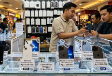 Update Harga iPhone Bekas iBox April 2026: Seri Pro Masih Dominasi Pasar ITC Kuningan
