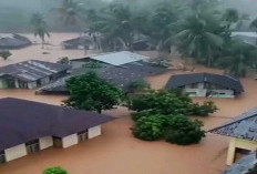 Iwan Fals Serukan Moratorium Penebangan Hutan 50 Tahun Usai Banjir Bandang di Sumatra