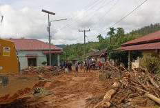 Tembus 986 Jiwa: BNPB Rilis Data Terbaru Korban Meninggal Bencana Banjir Longsor Sumatera