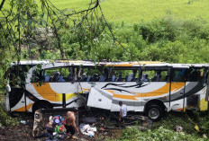 Mencekam! Bus Rombongan Sekolah Terjun ke Jurang di Toba, Begini Nasib 50 Penumpangnya
